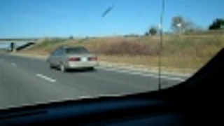Yes, That's A Horse In The Back Seat of My Car